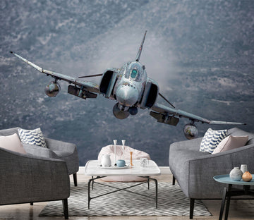 3D Combat Aircraft 9109 Alius Herb Wall Mural Wall Murals