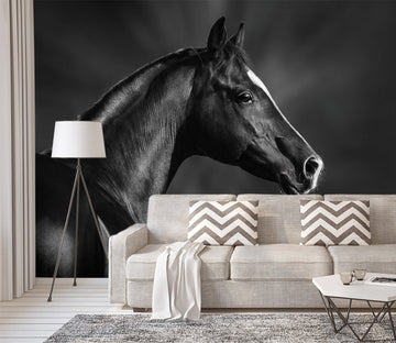 3D Dark Horse 444 Wall Murals