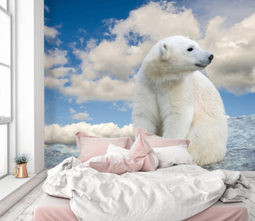 3D Polar Bear Cloud 341 Wall Murals