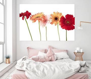 3D Red Gerbera 001 Kathy Barefield Wall Sticker