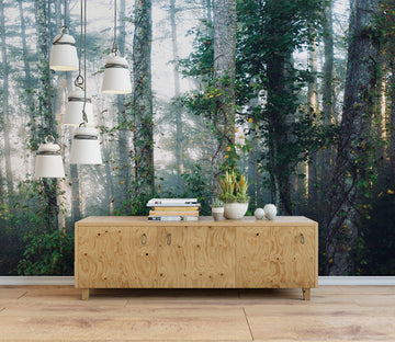 3D Forest Fog WC448 Wall Murals