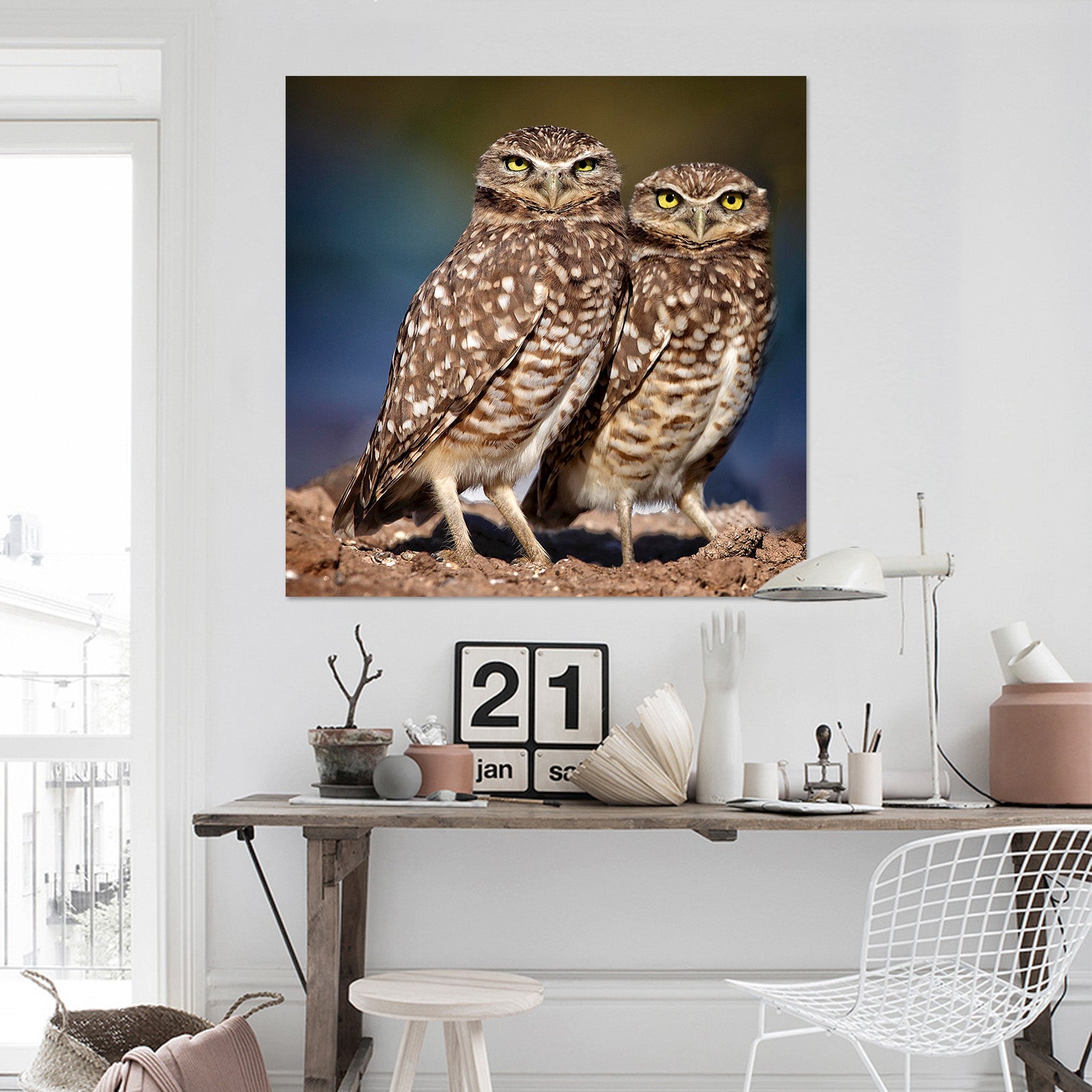 3D Burrowing Owl Buddies 006 Kathy Barefield Wall Sticker