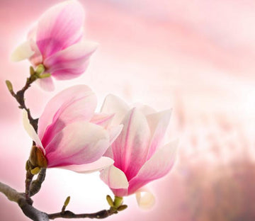 Pink Flowers 7 Wallpaper AJ Wallpaper 