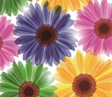 Colored Chrysanthemums Wallpaper AJ Wallpaper 