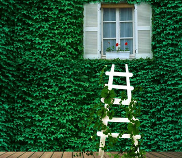 Green Wall 2 Wallpaper AJ Wallpaper 