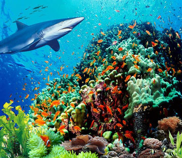 3D Colorful Marine Floor Mural Wallpaper AJ Wallpaper 2 