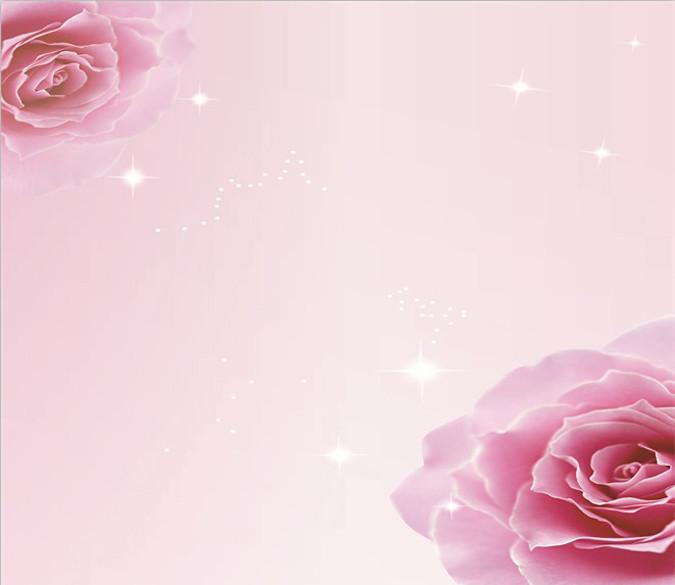 Pink Flowers 4 Wallpaper AJ Wallpaper 