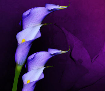 Fresh Blue Flowers Wallpaper AJ Wallpaper 