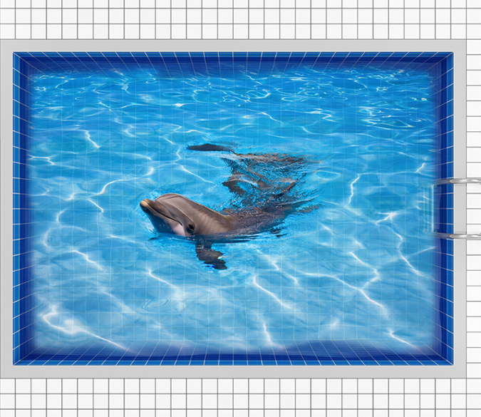 3D Dolphin Pool Floor Mural Wallpaper AJ Wallpaper 2 