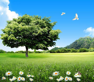 Grassland Lush Tree Wallpaper AJ Wallpaper 