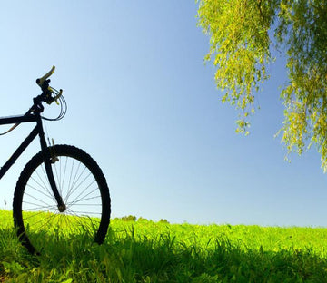 Grassland Bike Wallpaper AJ Wallpaper 