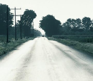 Country Road Wallpaper AJ Wallpaper 