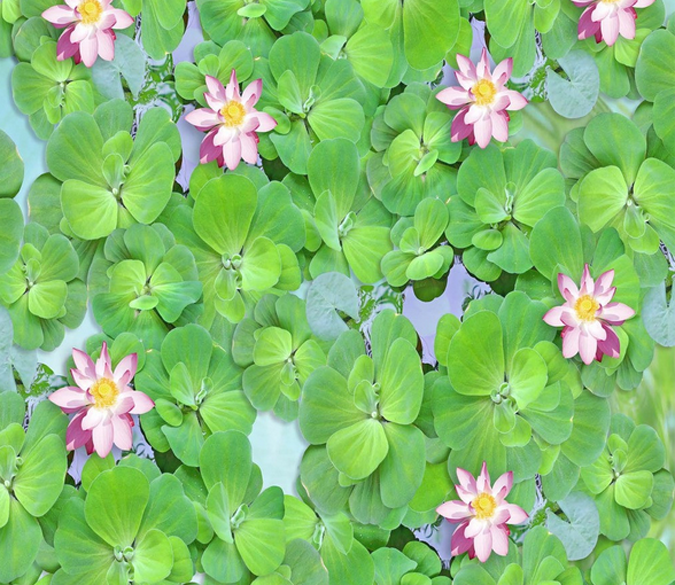 3D Green Pond Floor Mural Wallpaper AJ Wallpaper 2 