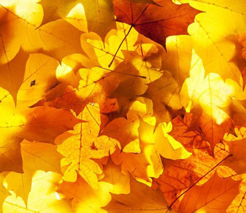 Golden Leaves Wallpaper AJ Wallpaper 