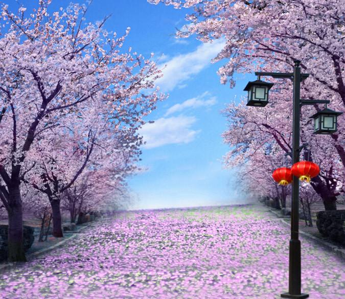 Blooming Flowers Road Wallpaper AJ Wallpaper 