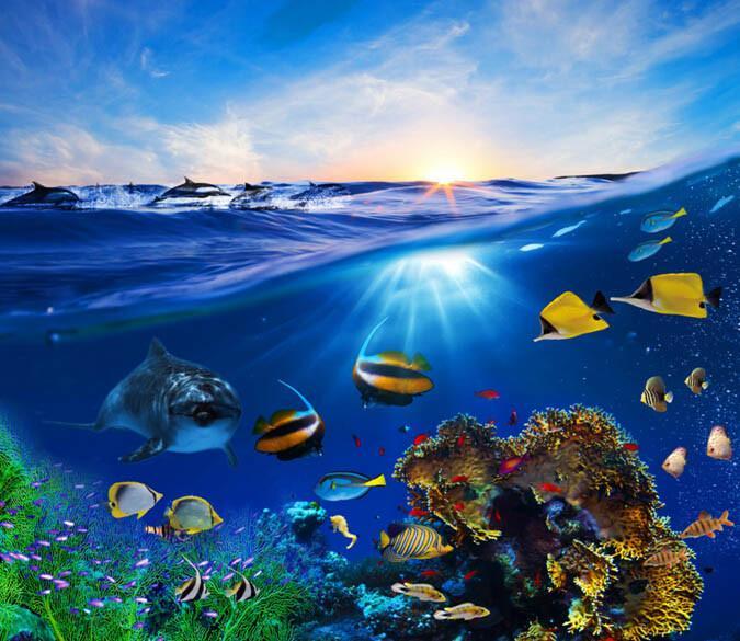 3D Crystal Clear Sea Floor Mural Wallpaper AJ Wallpaper 2 