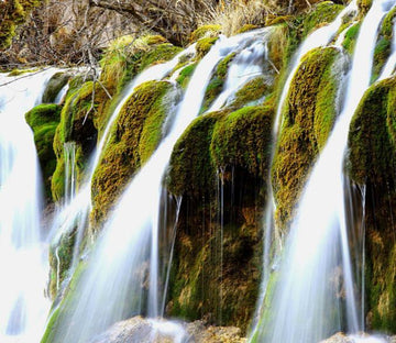 3D Moss And Waterfall Floor Mural Wallpaper AJ Wallpaper 2 