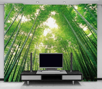 Bamboo Forest Wallpaper for Walls, Forest Bamboo Mural - Magic Decor ®