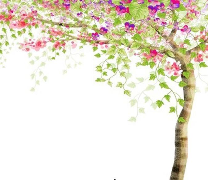 Blooming Tree 1 Wallpaper AJ Wallpaper 