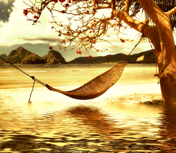 Hammock Wallpaper AJ Wallpaper 