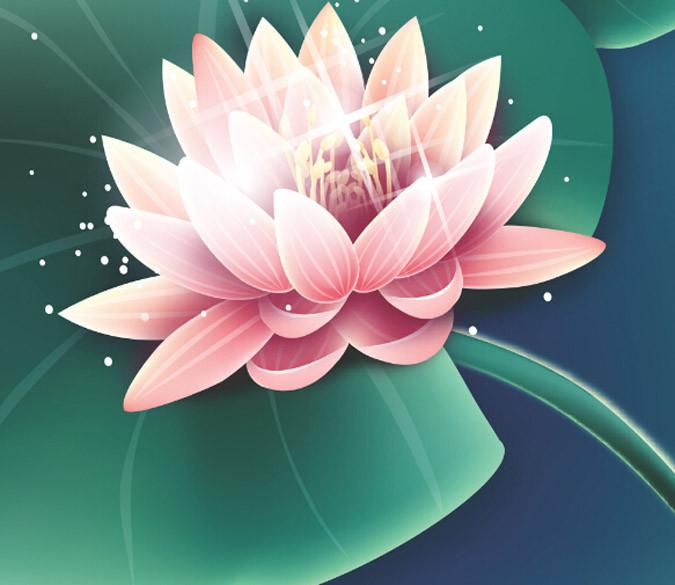 Shining Lotus Wallpaper AJ Wallpaper 