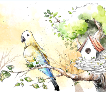 Bird House Wallpaper AJ Wallpaper 