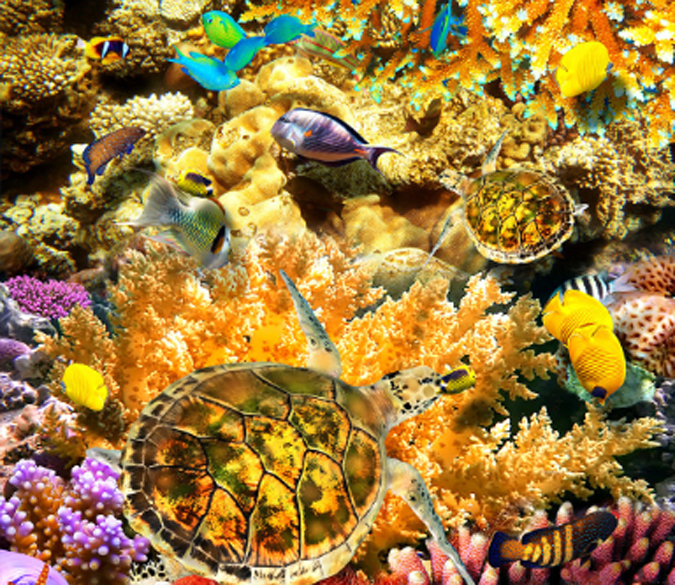 3D Dazzling Seabed Floor Mural Wallpaper AJ Wallpaper 2 