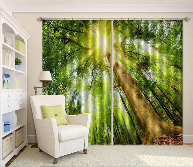 3D Forest Tall Tree Curtains Drapes Wallpaper AJ Wallpaper 