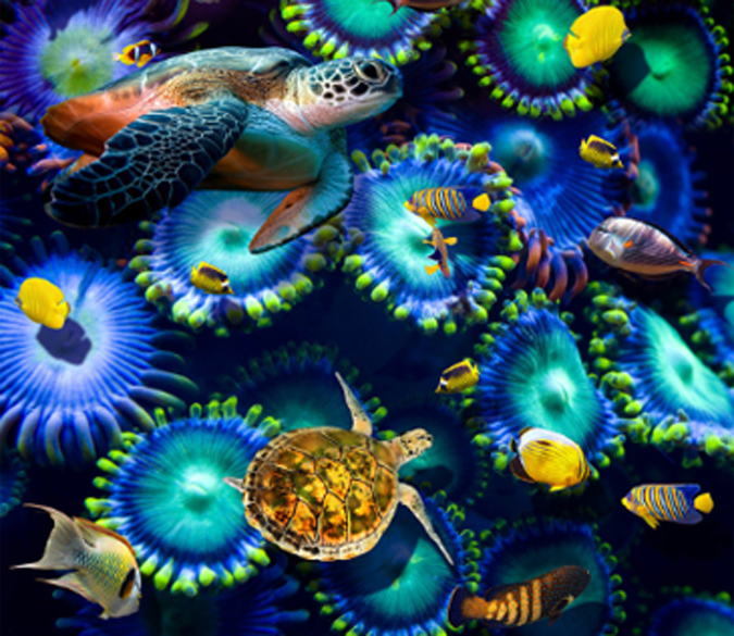 3D Sea Creatures Floor Mural Wallpaper AJ Wallpaper 2 