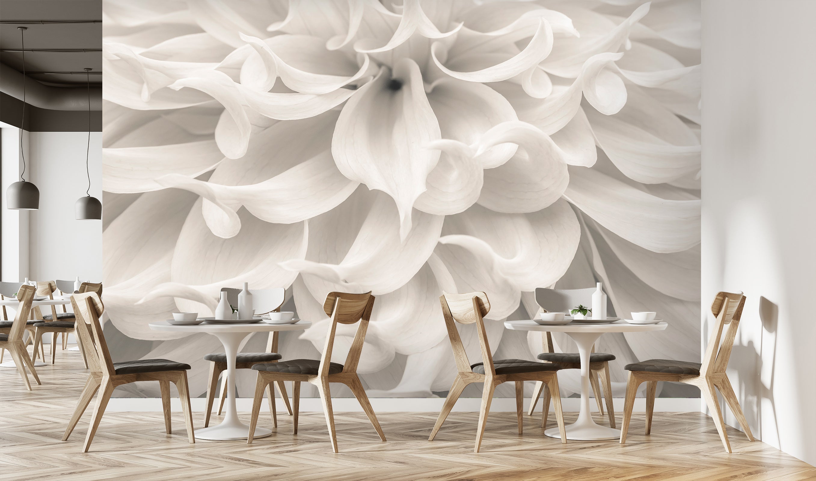 3D White Flower 6186 Assaf Frank Wall Mural Wall Murals