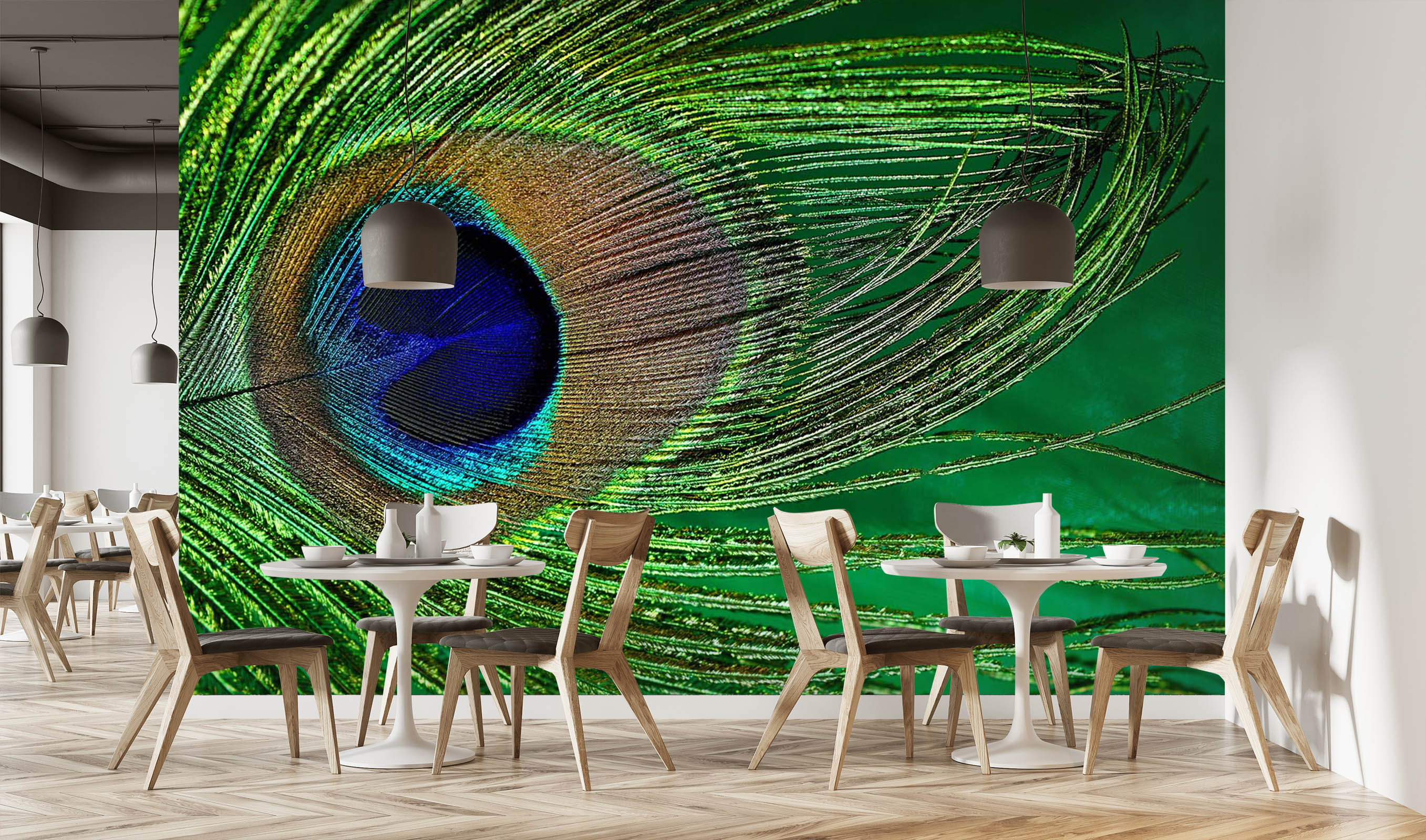 3D Peacock Feather 212 Wall Murals