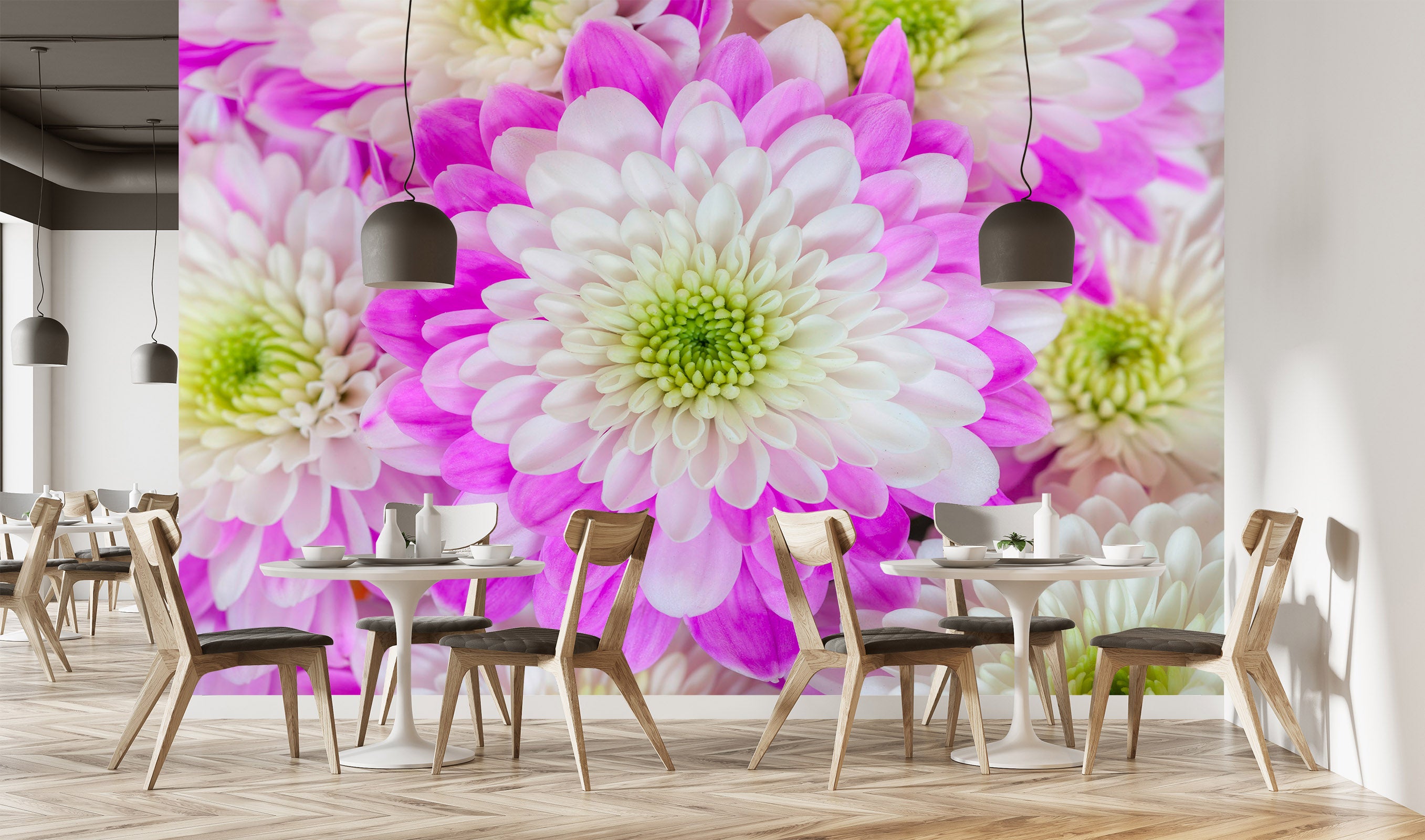 3D White Chrysanthemum 1422 Assaf Frank Wall Mural Wall Murals