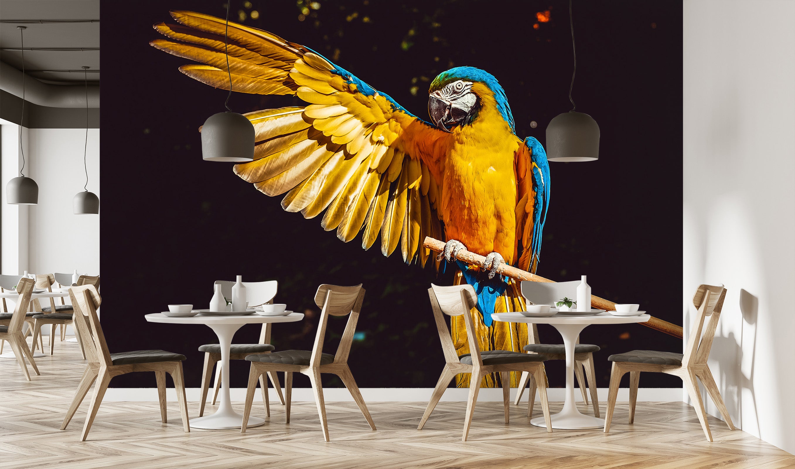 3D Color Parrot 137 Wall Murals