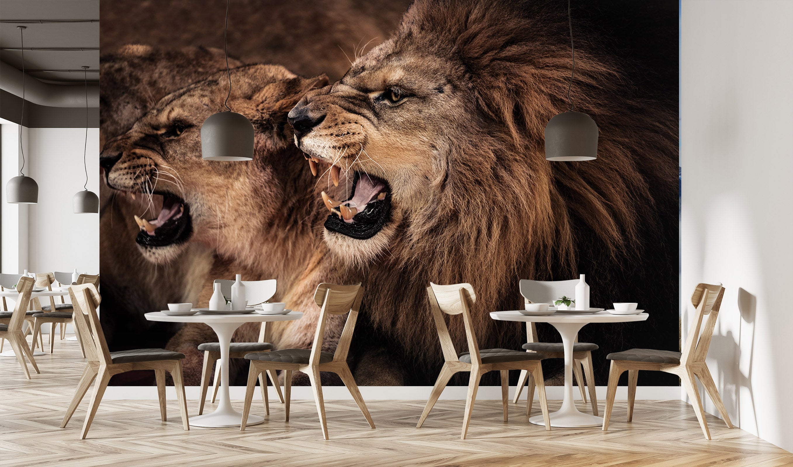 3D Lion Fierce 311 Wall Murals