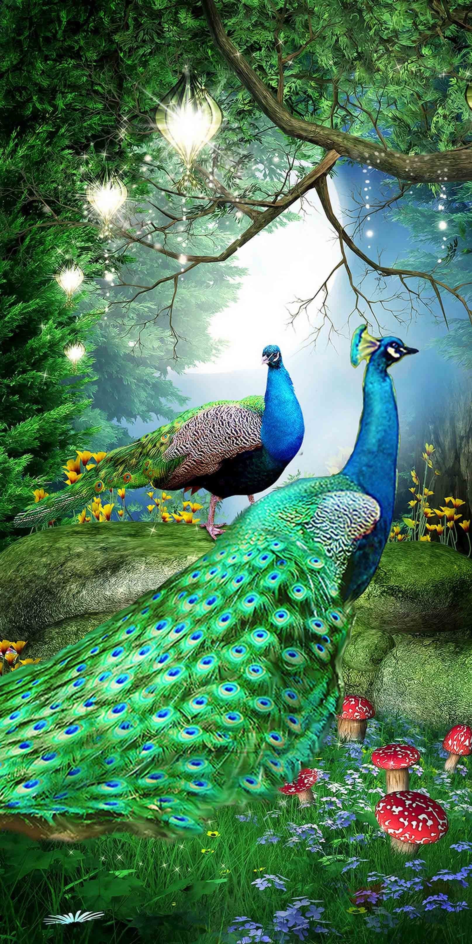 3D Forest Peacocks 1548 Stair Risers Wallpaper AJ Wallpaper 