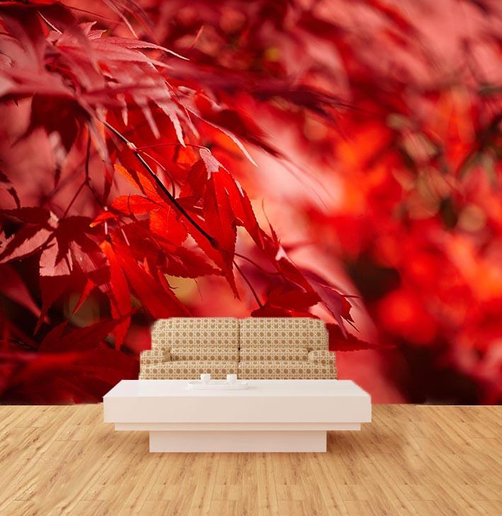 3D Red Leaves 156 Wallpaper AJ Wallpaper 