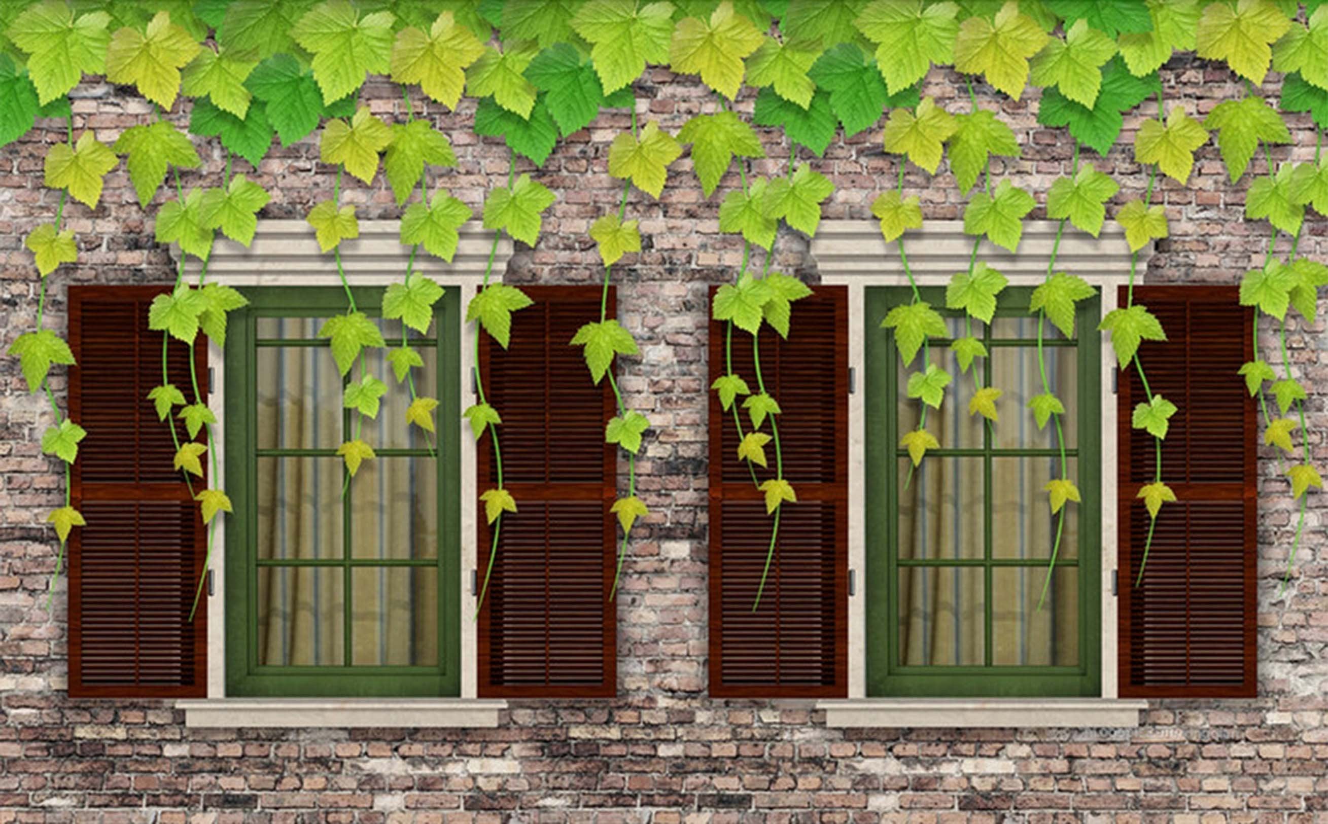 3D Windows Green Vine 34 Garage Door Mural Wallpaper AJ Wallpaper 