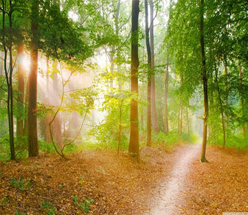 3D Sunshine Forest Scenery 087 Wallpaper AJ Wallpaper 