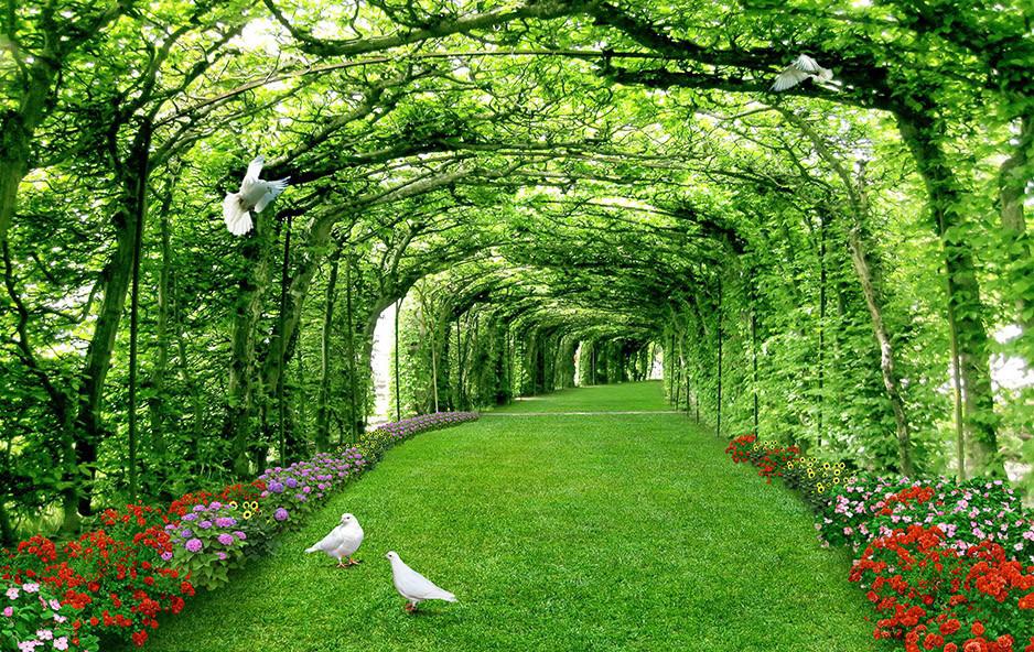 3D Trees Corridor Birds 298 Garage Door Mural Wallpaper AJ Wallpaper 