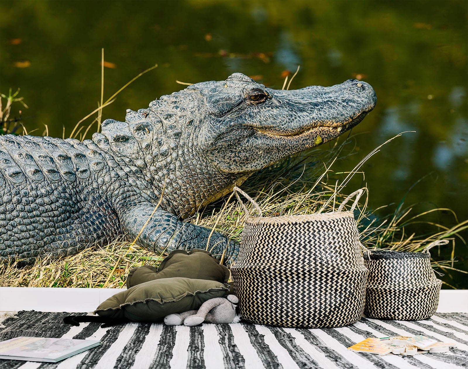 3D Crocodile 227 Wall Murals