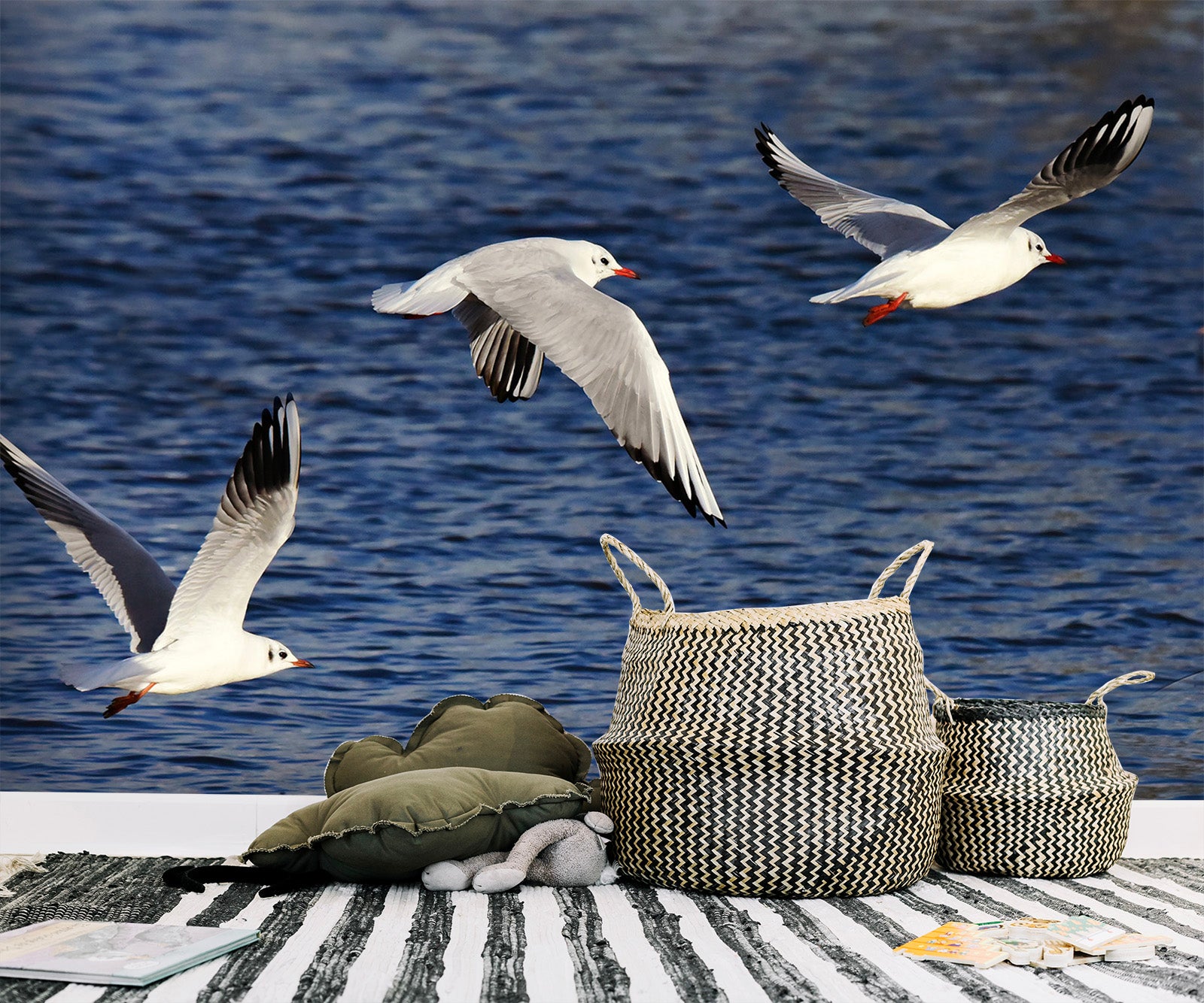 3D Seagull Flying 261 Wall Murals