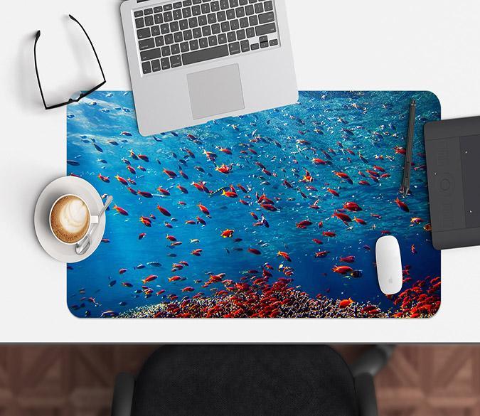 Laptop Fish Mat