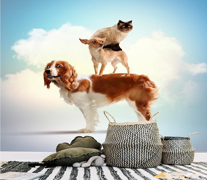 3D Dog Stacking Arhat 041 Wallpaper AJ Wallpaper 