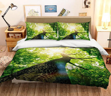 3D Lush Forest 173 Bed Pillowcases Quilt Wallpaper AJ Wallpaper 