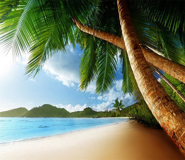 3D Coconut Tree 23 Wallpaper AJ Wallpaper 