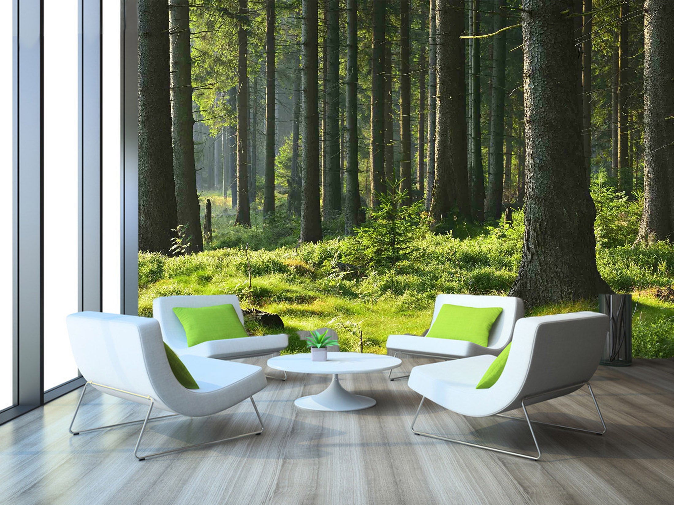 3D Sunny Forest 1041 Wall Murals