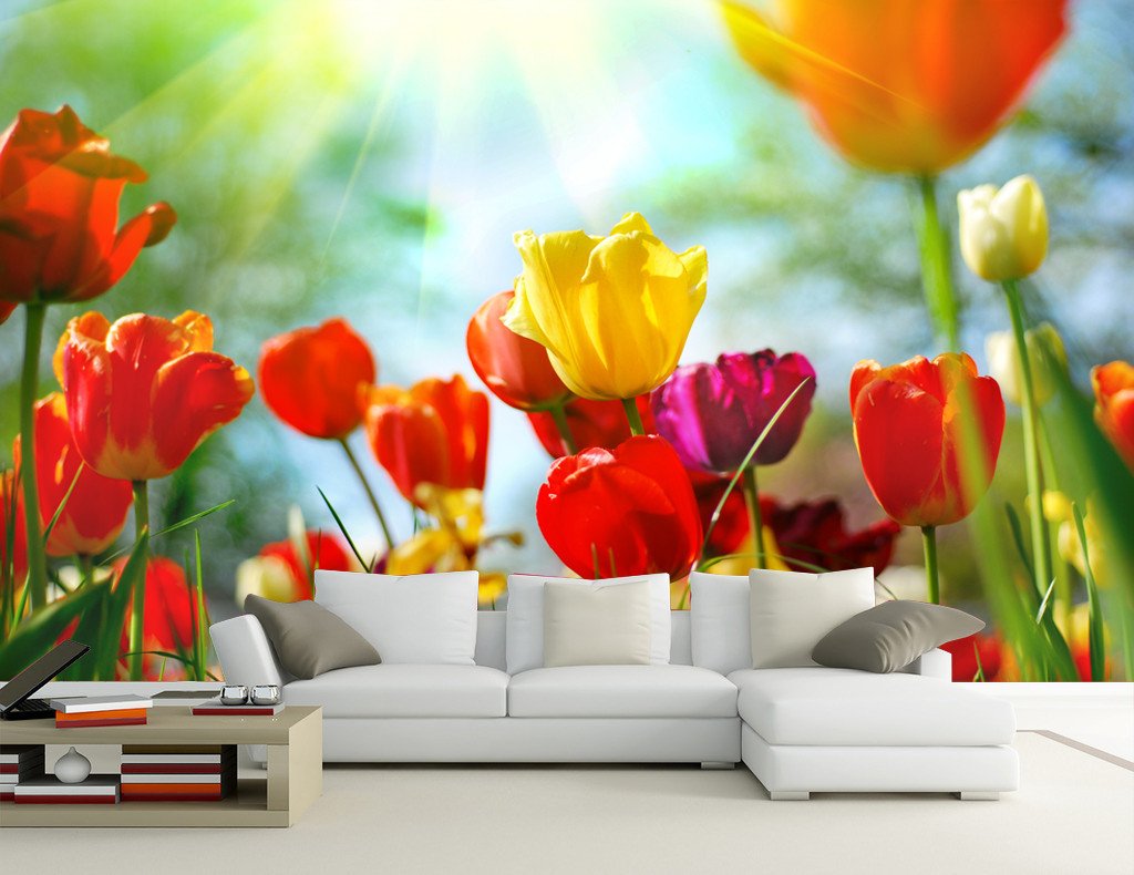 Colorful Tulips Wallpaper AJ Wallpaper 