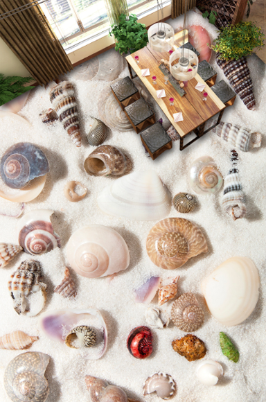 3D Shells And Conch Floor Mural Wallpaper AJ Wallpaper 2 