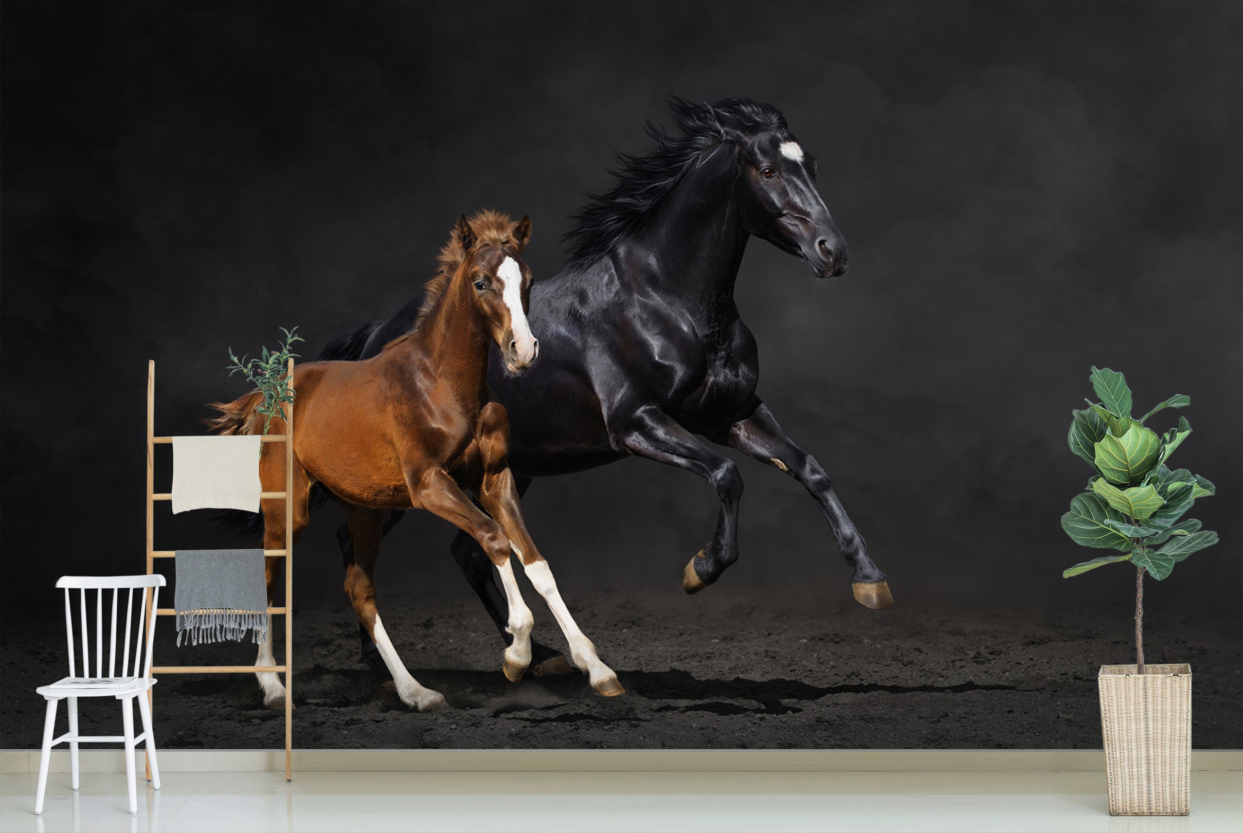 3D Dark Horse 111 Wall Murals