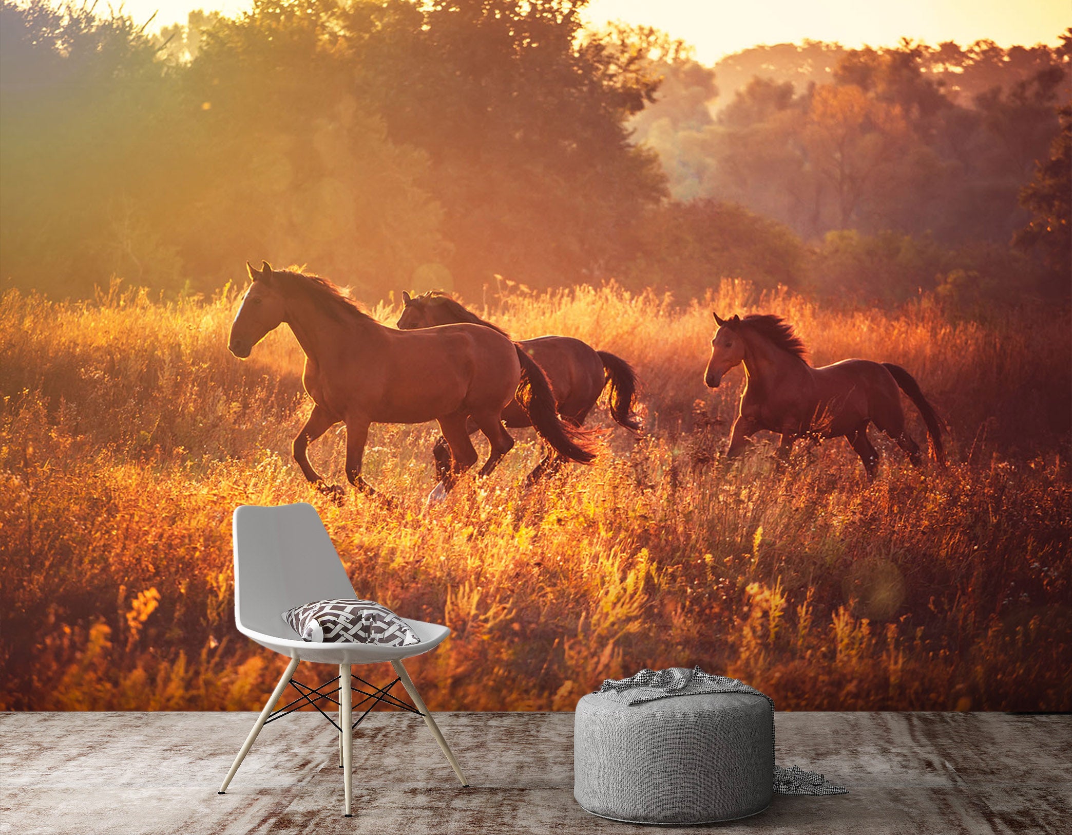 3D Sunset Horse 106 Wall Murals